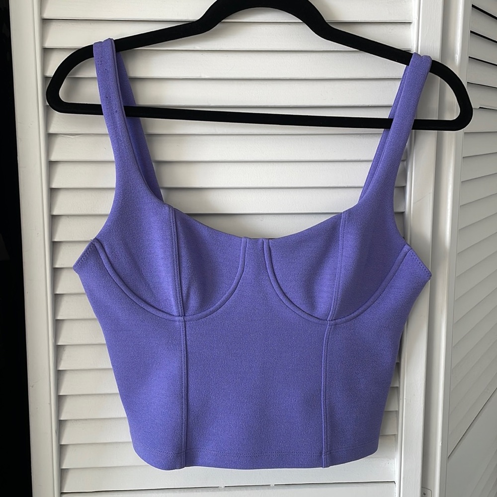 ✨ NWT ✨ Zara purple corset top